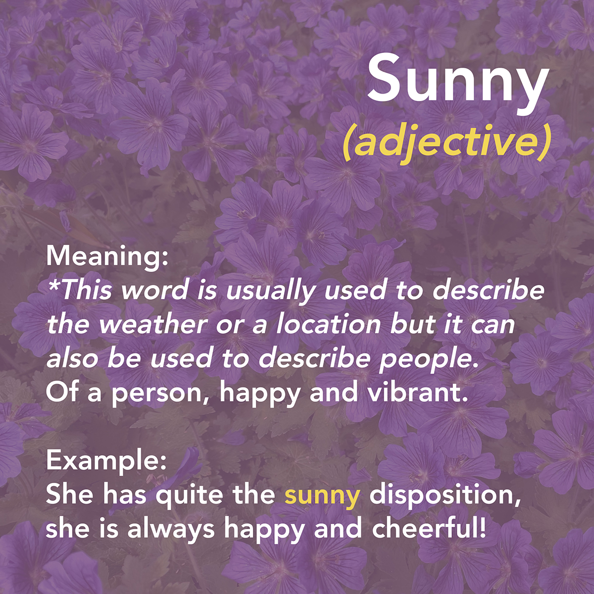 Summertime Vocabulary 5